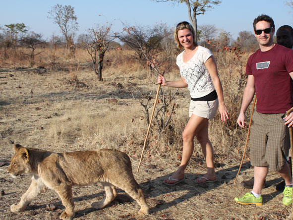 Ashley Groenevelt - walking with lions at Victoria Falls